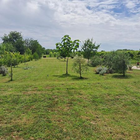 Casa Zafferano - Apartment With Garden Corno di Rosazzo Luaran gambar